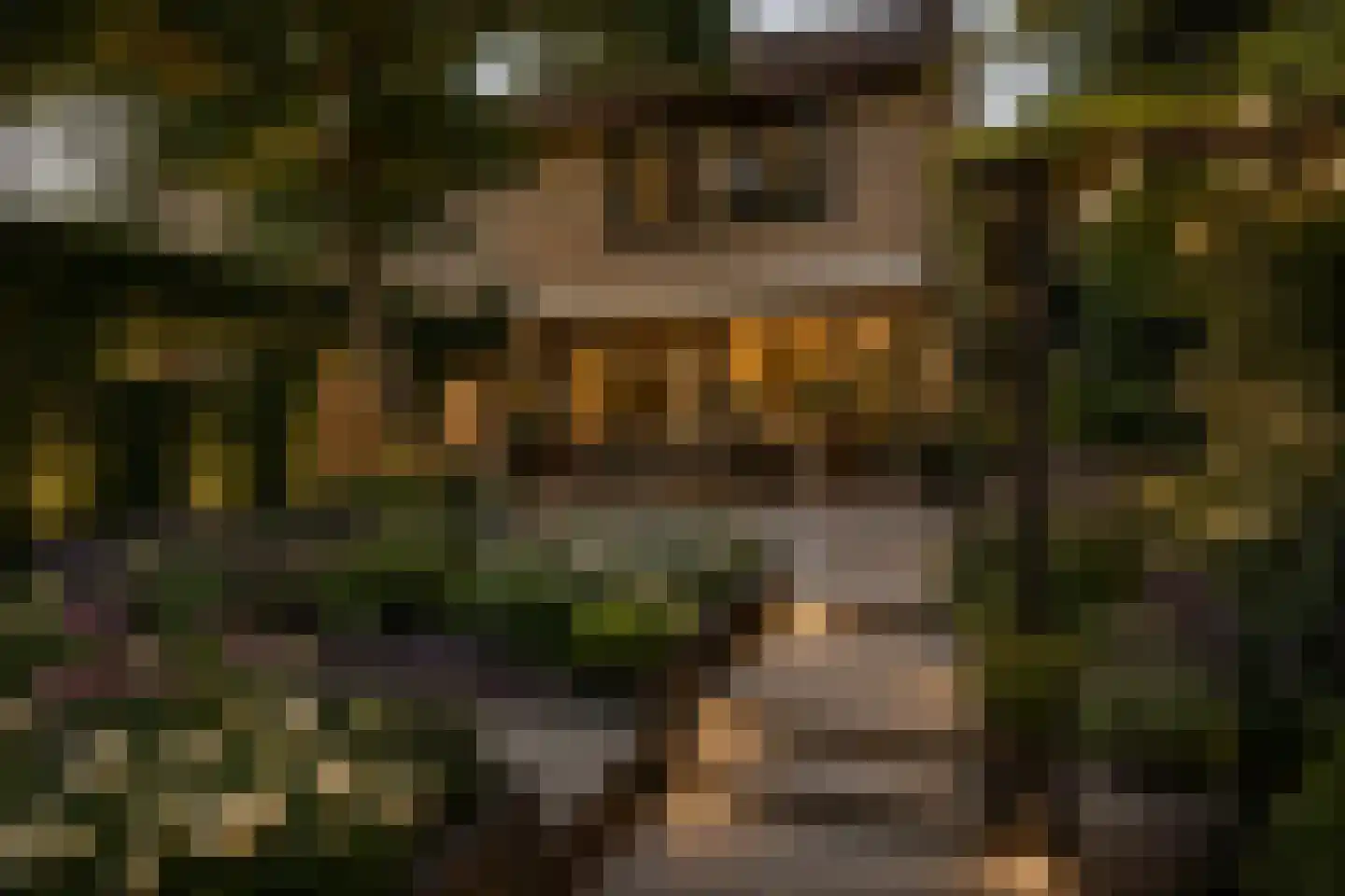 Laan van Westmolen 25 Mijnsheerenland thumbnail 34