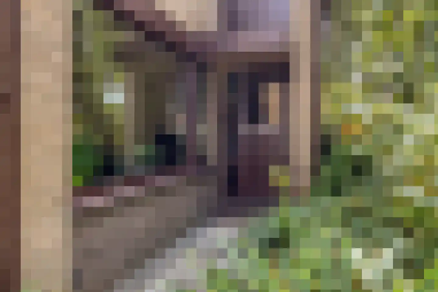 Laan van Westmolen 25 Mijnsheerenland thumbnail 6
