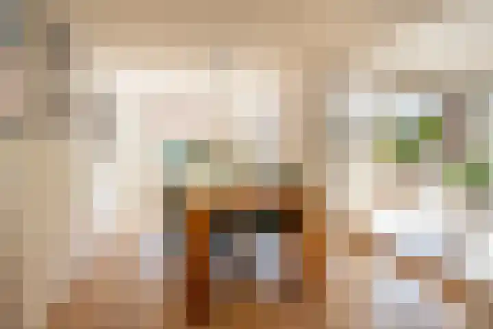 Laan van Westmolen 37 Mijnsheerenland thumbnail 12