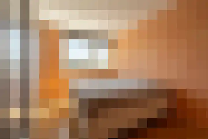 Laan van Westmolen 37 Mijnsheerenland thumbnail 17