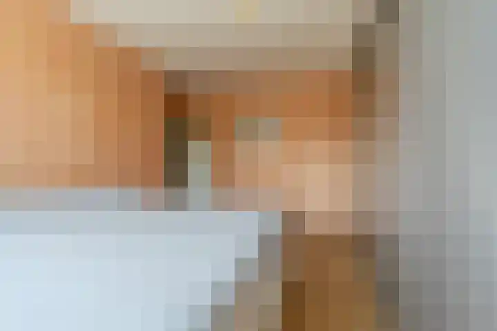 Laan van Westmolen 37 Mijnsheerenland thumbnail 18