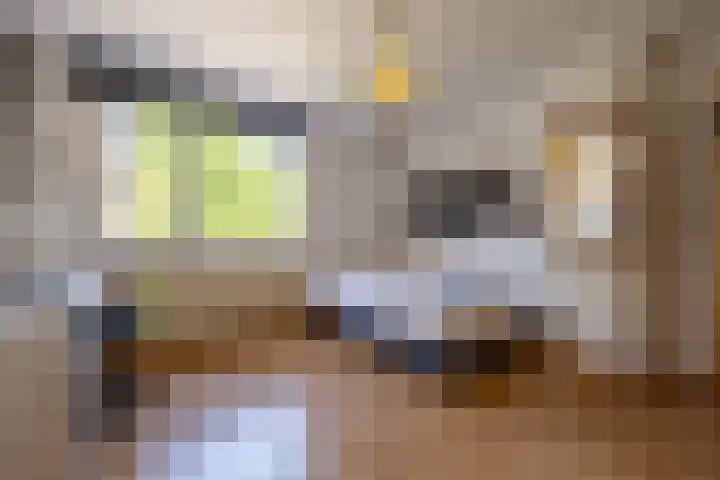 Laan van Westmolen 37 Mijnsheerenland thumbnail 20