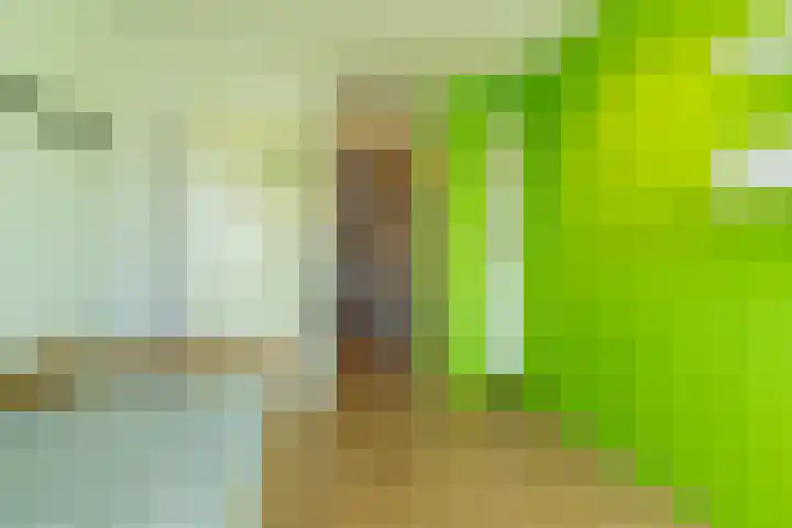 Laan van Westmolen 37 Mijnsheerenland thumbnail 22