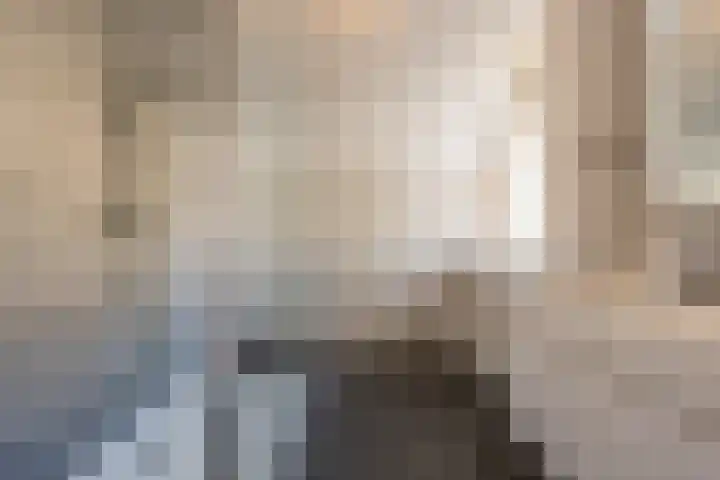 Laan van Westmolen 37 Mijnsheerenland thumbnail 23