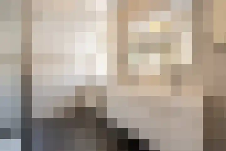 Laan van Westmolen 37 Mijnsheerenland thumbnail 24