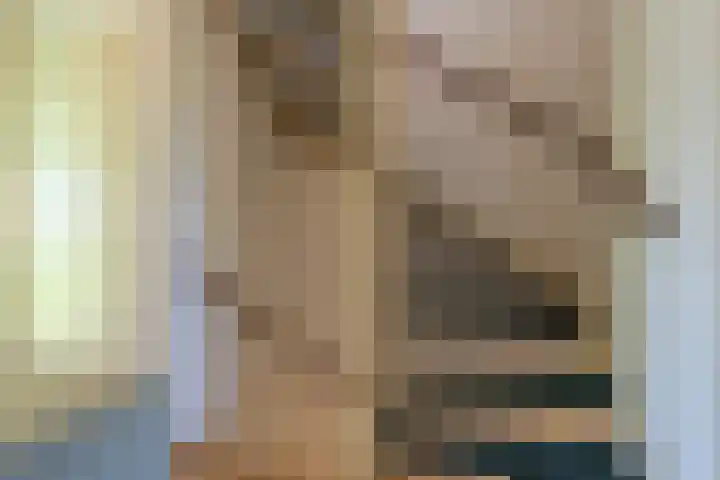 Laan van Westmolen 37 Mijnsheerenland thumbnail 26