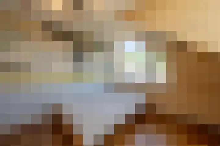 Laan van Westmolen 37 Mijnsheerenland thumbnail 27