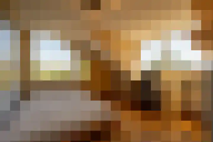 Laan van Westmolen 37 Mijnsheerenland thumbnail 28