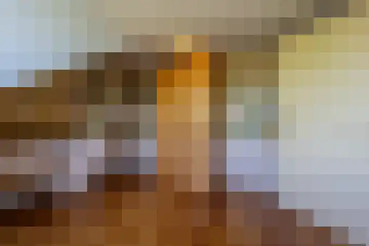 Laan van Westmolen 37 Mijnsheerenland thumbnail 30