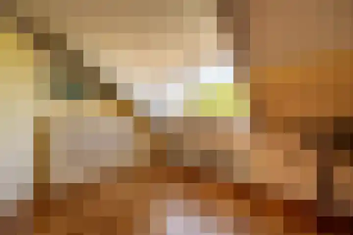 Laan van Westmolen 37 Mijnsheerenland thumbnail 31