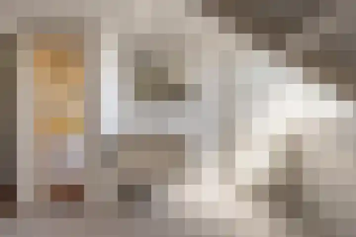Laan van Westmolen 37 Mijnsheerenland thumbnail 34