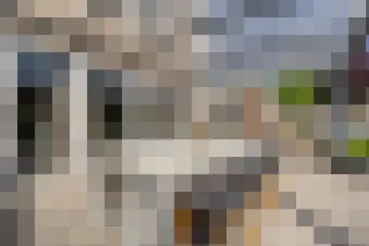 Laan van Westmolen 37 Mijnsheerenland thumbnail 36