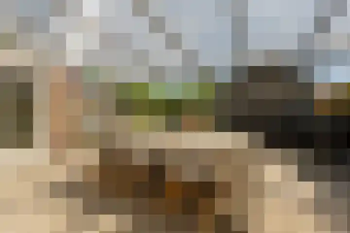 Laan van Westmolen 37 Mijnsheerenland thumbnail 37