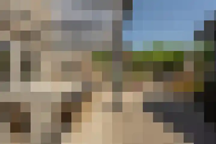 Laan van Westmolen 37 Mijnsheerenland thumbnail 38