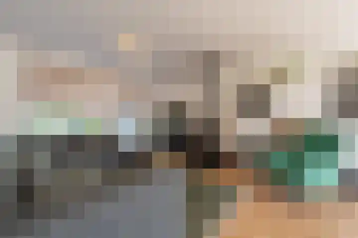 Laan van Westmolen 37 Mijnsheerenland thumbnail 4