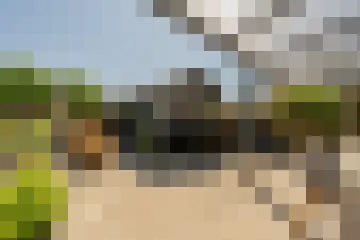 Laan van Westmolen 37 Mijnsheerenland thumbnail 40