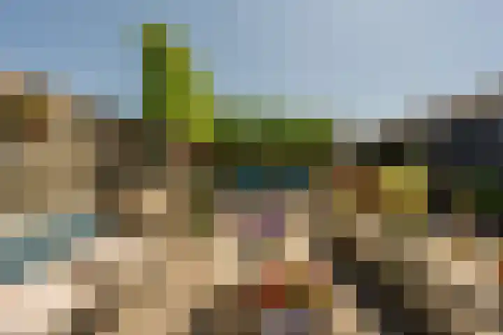 Laan van Westmolen 37 Mijnsheerenland thumbnail 41