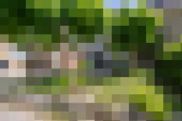 Laan van Westmolen 37 Mijnsheerenland thumbnail 44