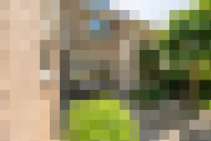 Laan van Westmolen 37 Mijnsheerenland thumbnail 45