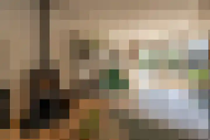 Laan van Westmolen 37 Mijnsheerenland thumbnail 5