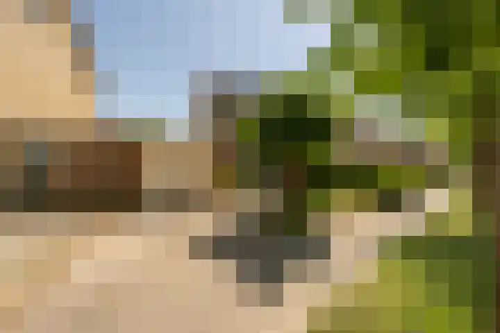 Laan van Westmolen 37 Mijnsheerenland thumbnail 50
