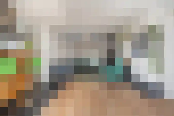 Laan van Westmolen 37 Mijnsheerenland thumbnail 6