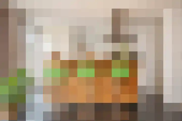 Laan van Westmolen 37 Mijnsheerenland thumbnail 7