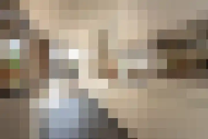 Laan van Westmolen 37 Mijnsheerenland thumbnail 8