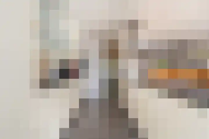 Laan van Westmolen 37 Mijnsheerenland thumbnail 9