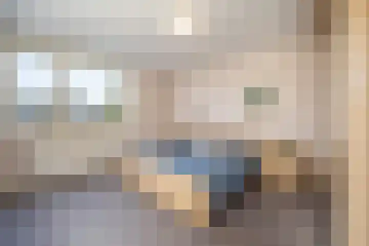 Laan van Westmolen 43 Mijnsheerenland thumbnail 12