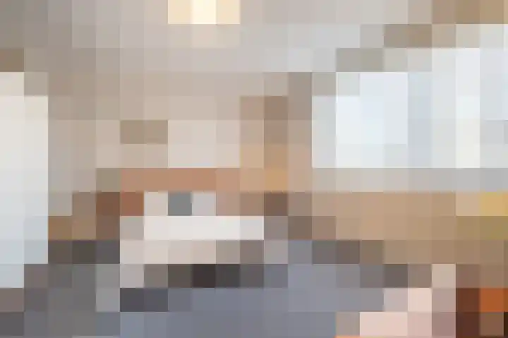 Laan van Westmolen 43 Mijnsheerenland thumbnail 14