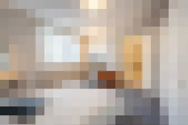 Laan van Westmolen 43 Mijnsheerenland thumbnail 15