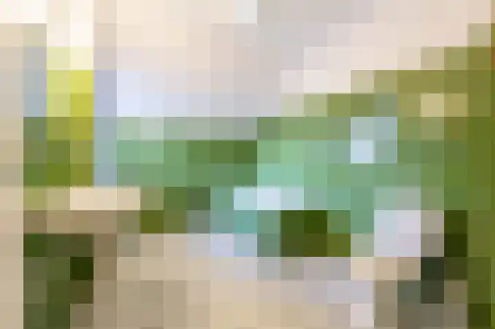 Laan van Westmolen 43 Mijnsheerenland thumbnail 19