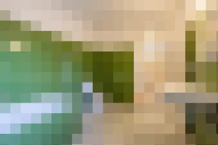 Laan van Westmolen 43 Mijnsheerenland thumbnail 20