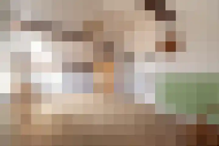 Laan van Westmolen 43 Mijnsheerenland thumbnail 23