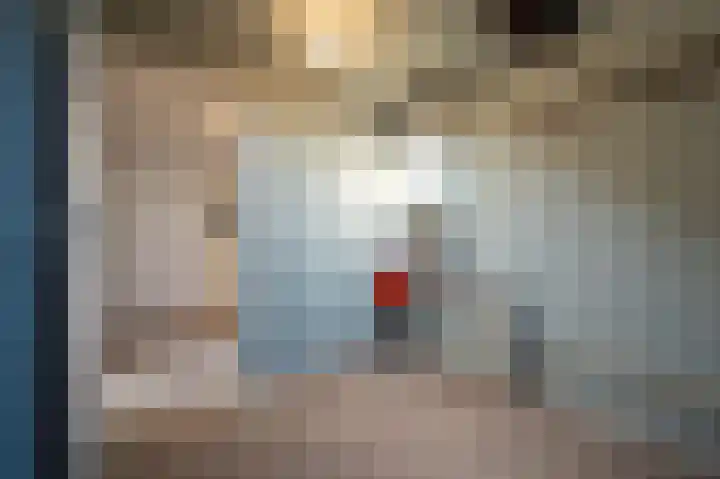 Laan van Westmolen 43 Mijnsheerenland thumbnail 25