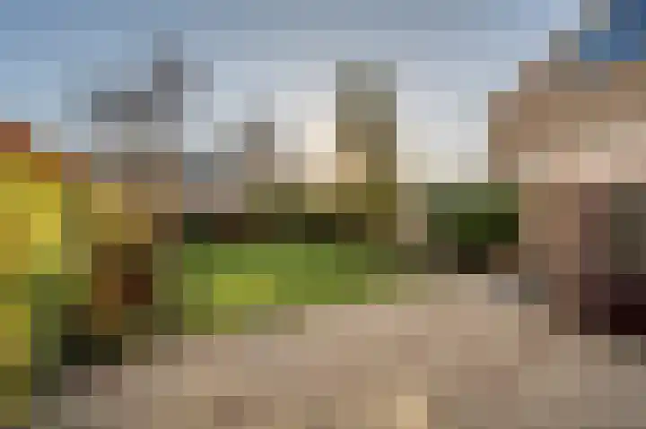 Laan van Westmolen 43 Mijnsheerenland thumbnail 32