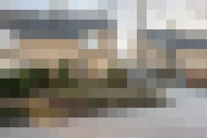 Laan van Westmolen 43 Mijnsheerenland thumbnail 34