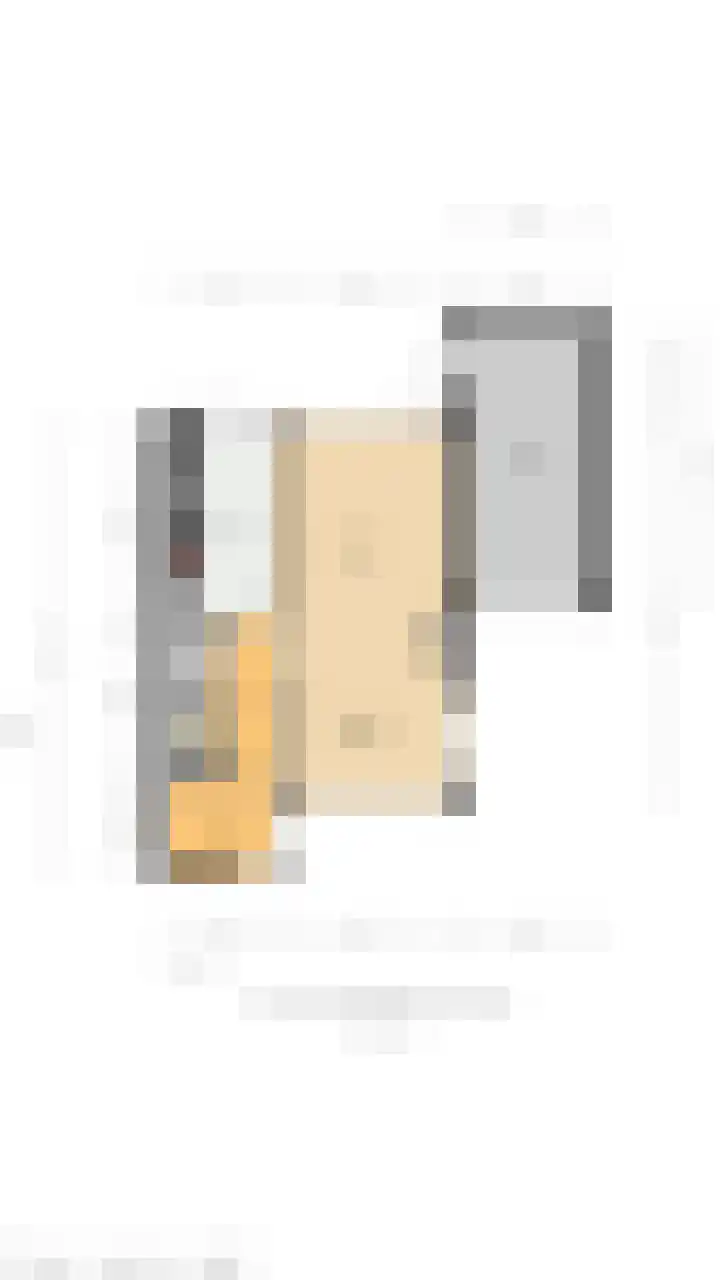 Laan van Westmolen 43 Mijnsheerenland thumbnail 35