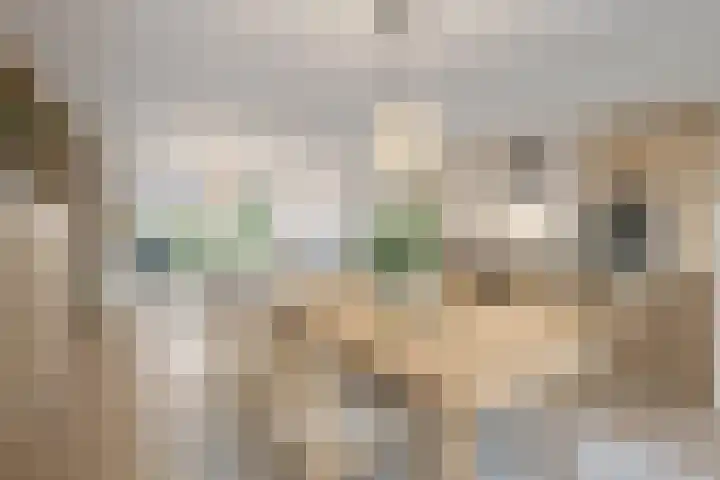 Laan van Westmolen 43 Mijnsheerenland thumbnail 7