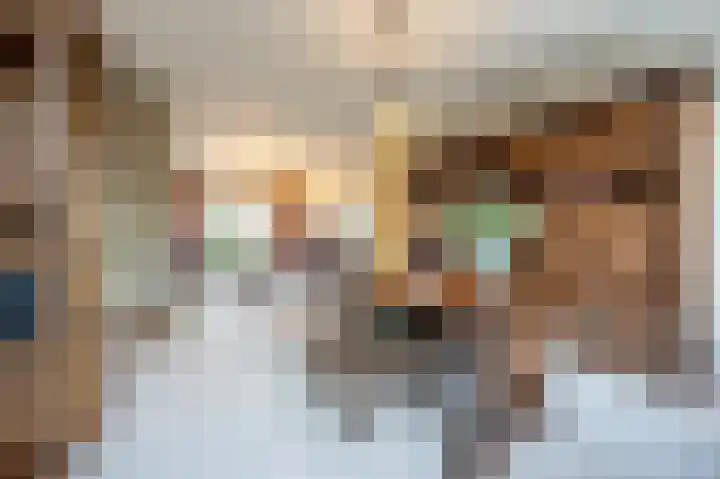 Laan van Westmolen 43 Mijnsheerenland thumbnail 8