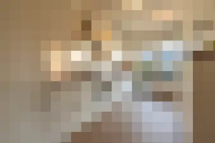 Laan van Westmolen 43 Mijnsheerenland thumbnail 9
