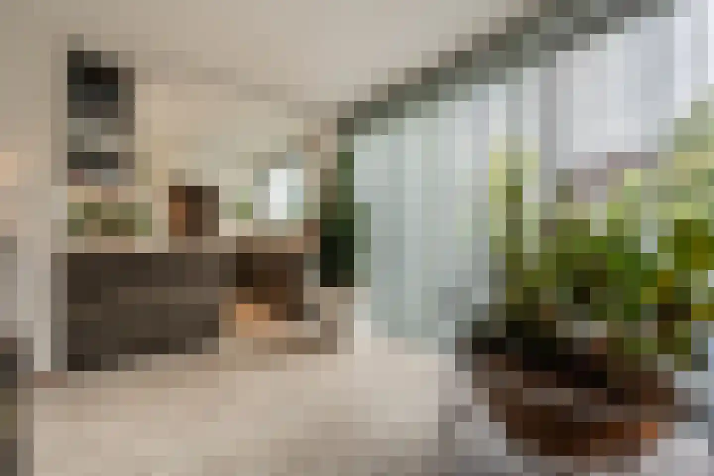 Laan van Westmolen 44 Mijnsheerenland thumbnail 11