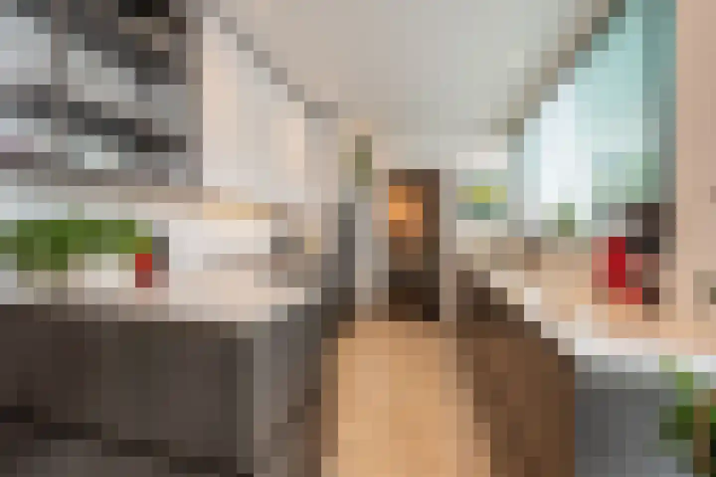 Laan van Westmolen 44 Mijnsheerenland thumbnail 12