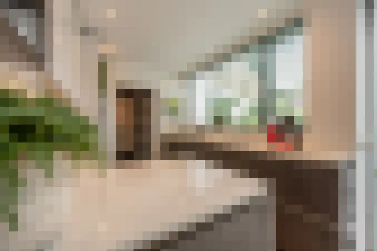 Laan van Westmolen 44 Mijnsheerenland thumbnail 13