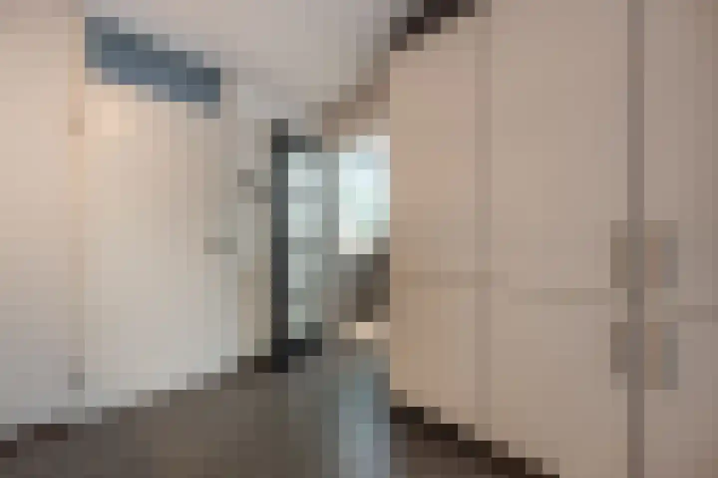 Laan van Westmolen 44 Mijnsheerenland thumbnail 18