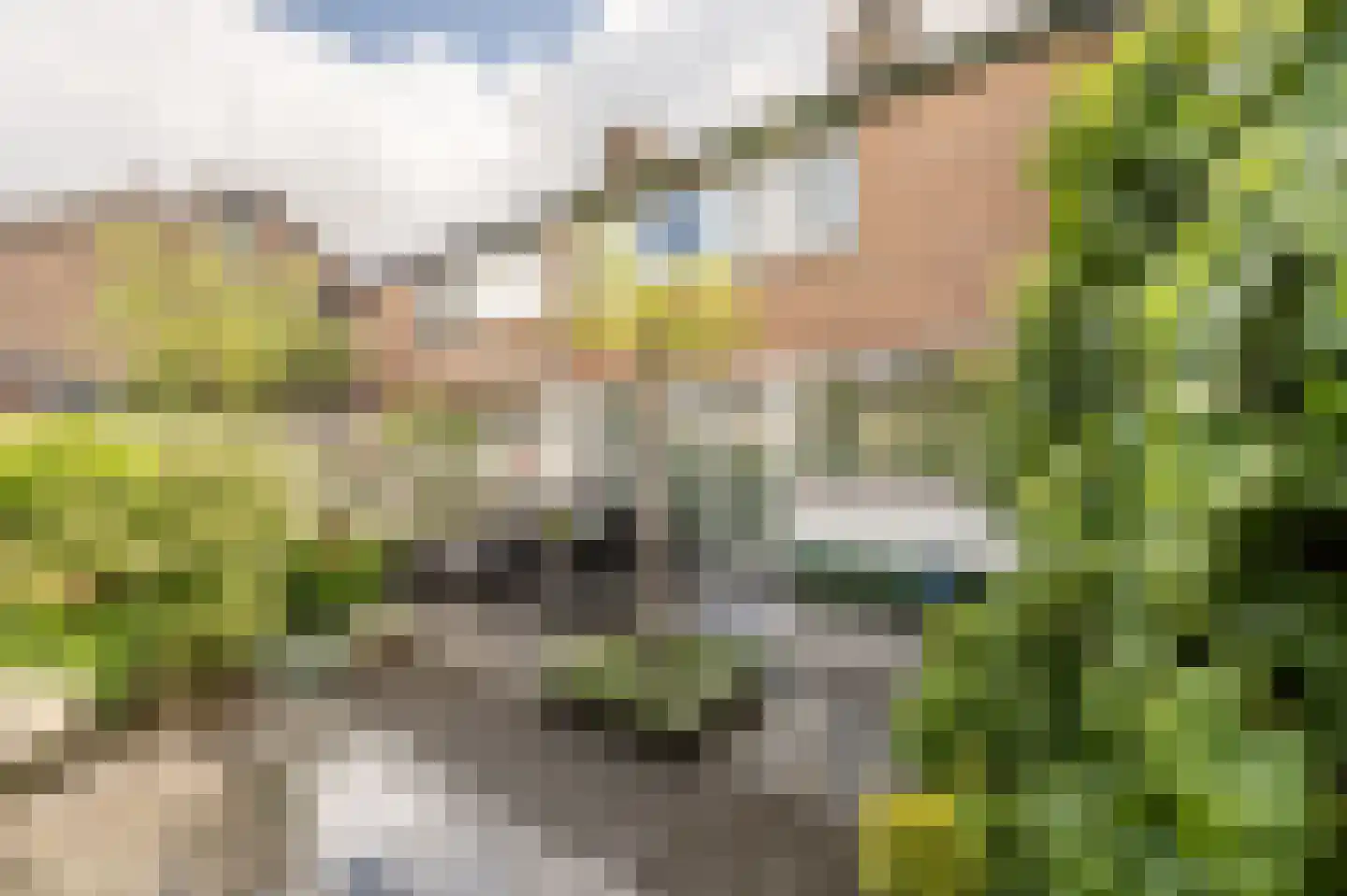 Laan van Westmolen 44 Mijnsheerenland foto 2