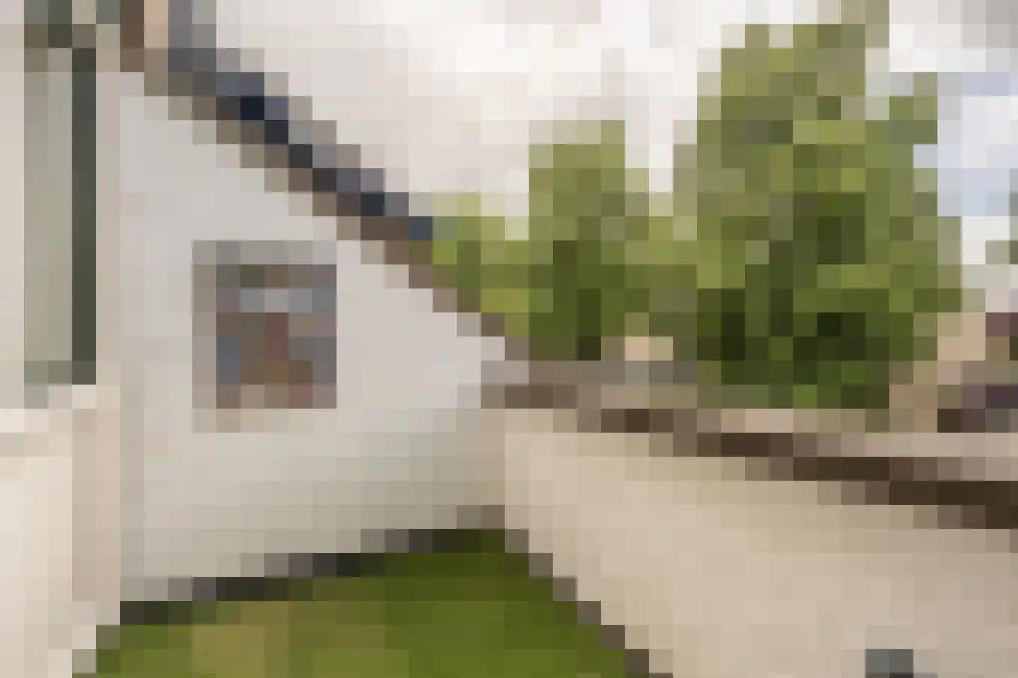 Laan van Westmolen 44 Mijnsheerenland thumbnail 22