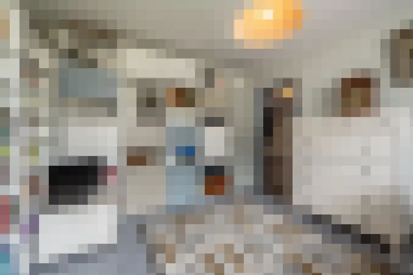 Laan van Westmolen 44 Mijnsheerenland thumbnail 26