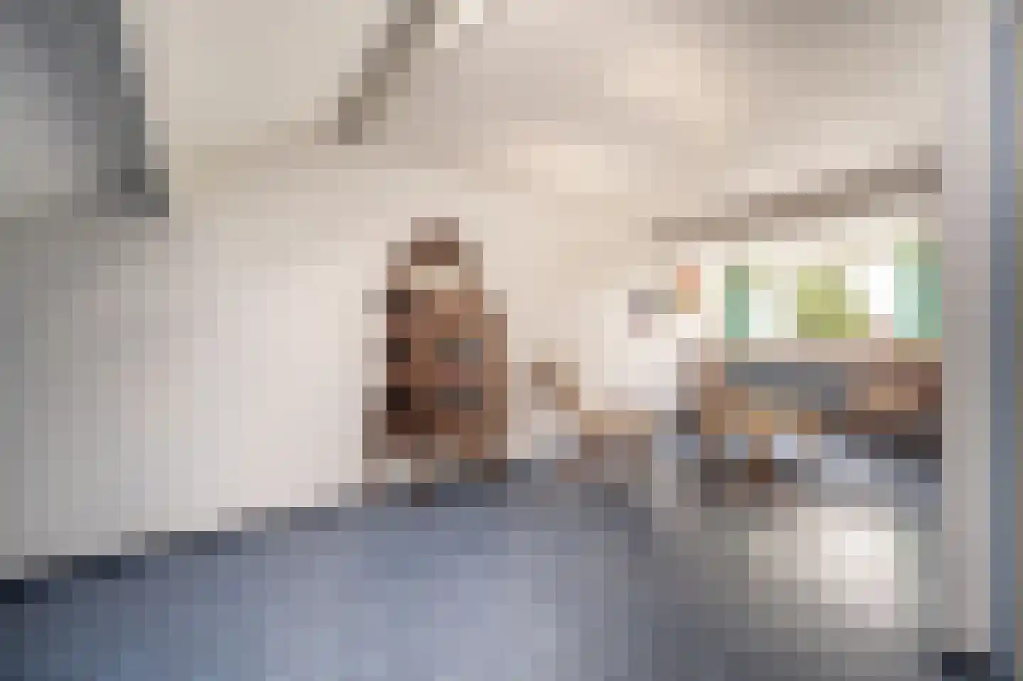 Laan van Westmolen 44 Mijnsheerenland thumbnail 33